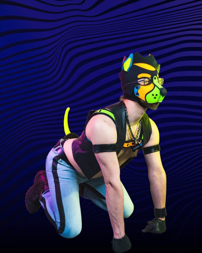 Pup Paimon